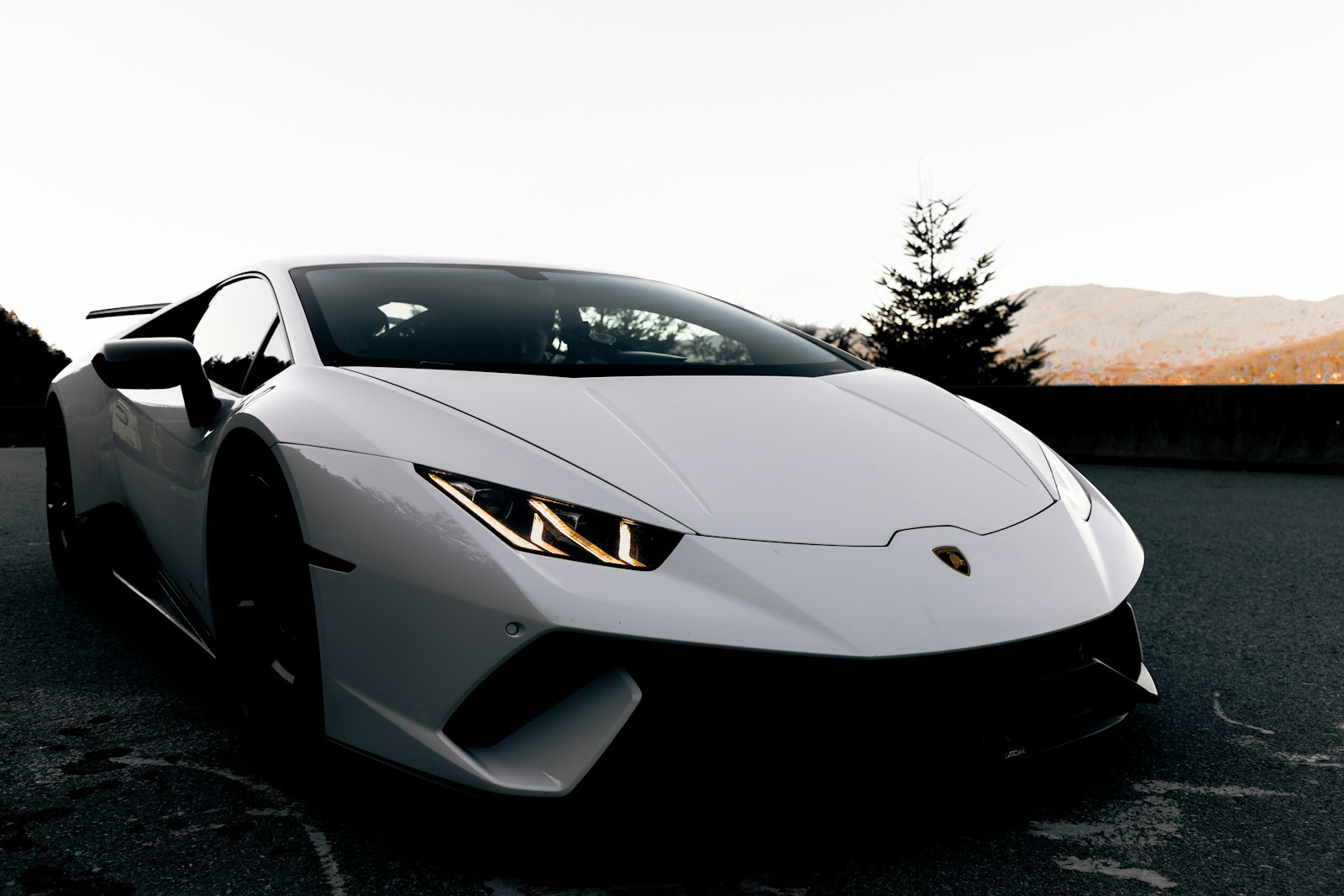 White Lamborghini representing pre-order sourcing